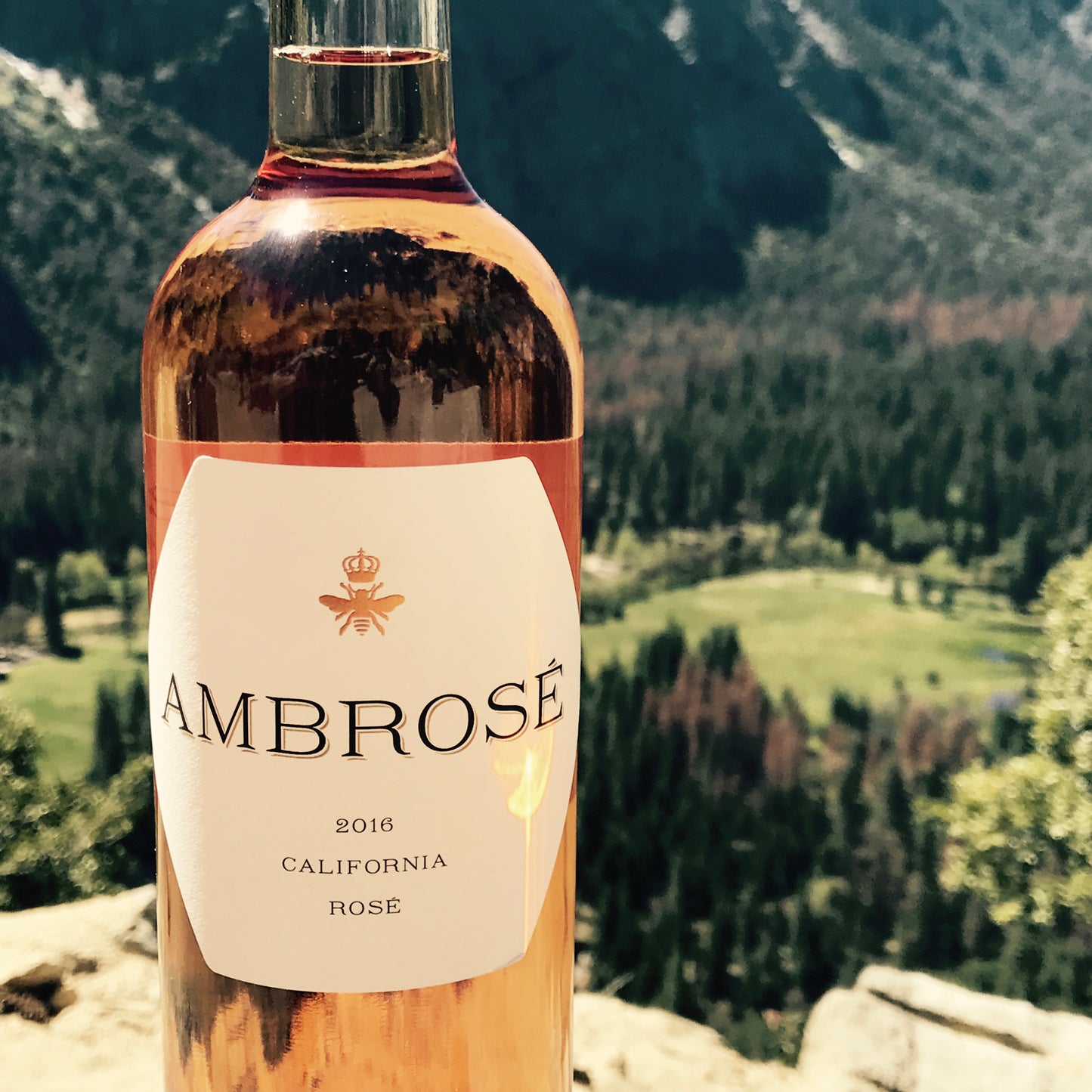 Ambrosé