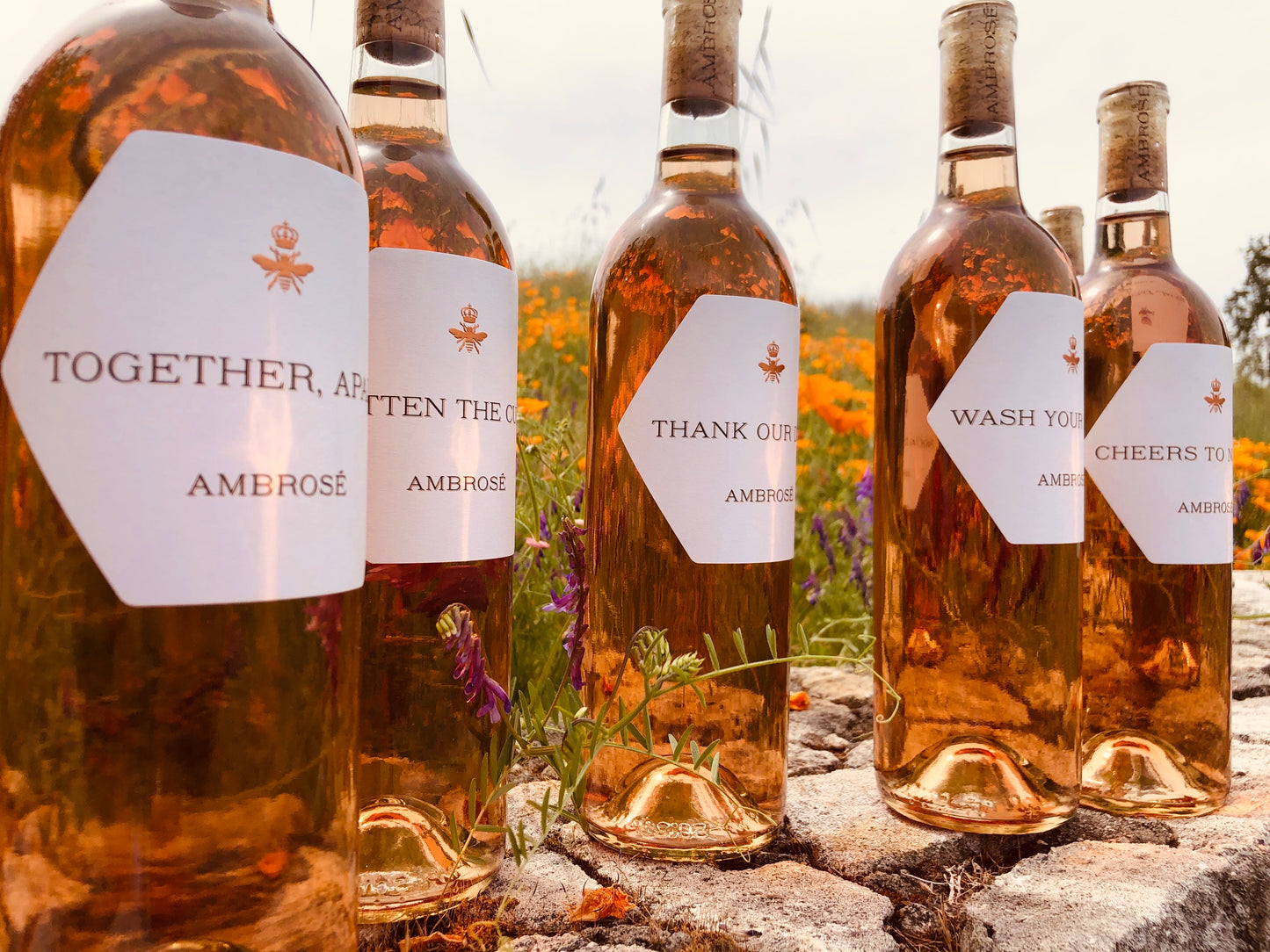 Ambrosé