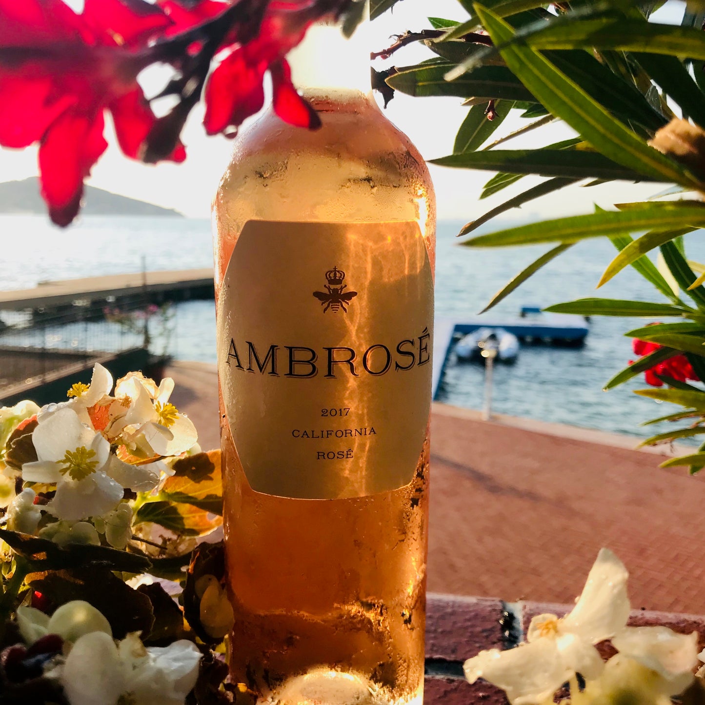 Ambrosé